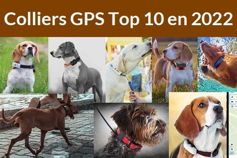Collier avec traceur GPS et écoute pour chien et animal