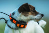 Collier GPS Garmin occasion VHF