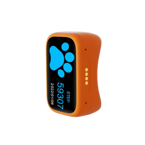 Collier GPS 4G S13 pour petit chien - traceur orange