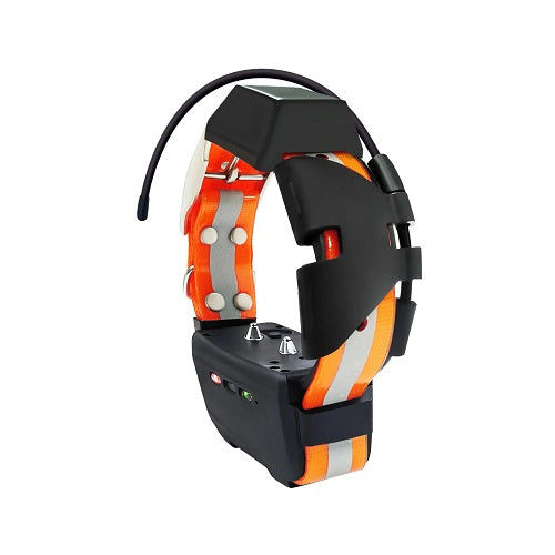 Collier GPS RoG Speeder Mini