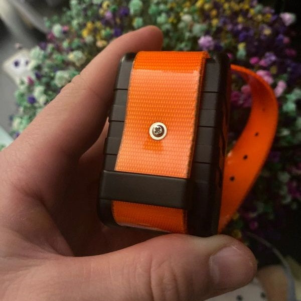 Collier GPS chien Dogze - avis client PeelaGreen