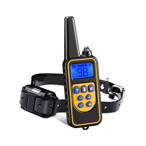 Collier de dressage pour chien Kit 1 chien