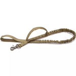 Harnais chien militaire laisse brun