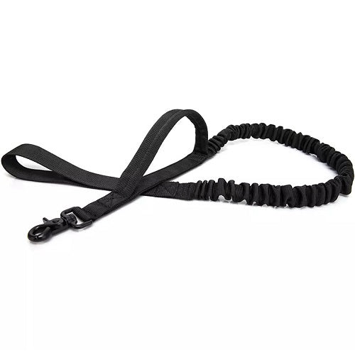 Harnais chien militaire laisse noir