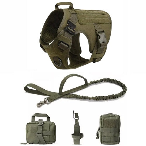 Harnais chien militaire set complet vert