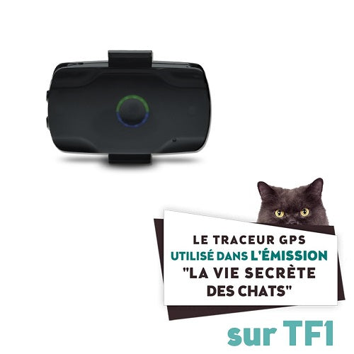 Collier GPS pour chat LOOKAT®