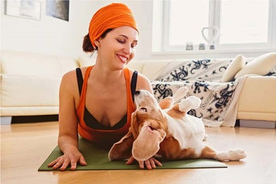 La commande RELAX pour calmer son chien en 15 secondes chrono