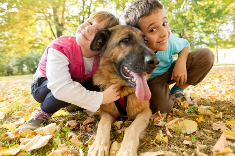 https://peelagreen.fr/cdn/shop/articles/Chien_et_enfant_-_comment_l_approcher_sans_se_faire_mordre_garcon_et_fille.jpg?v=1633056994&width=1200