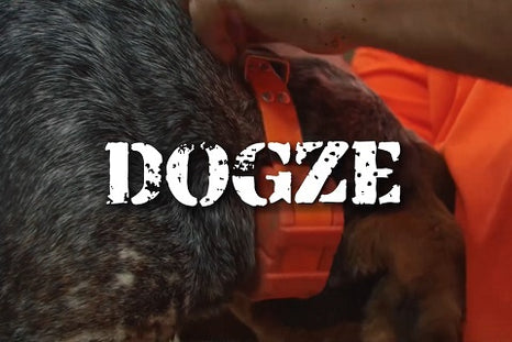 Les avantages exceptionnels du collier GPS Dogze II pour chien de chasse