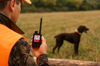 Nouveau GPS RoG® TR Dog V2 : Toutes les améliorations face à la version Master & Speeder