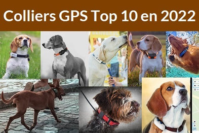 Top 10 des colliers GPS pour chien (et chat) - Comparatif 2022