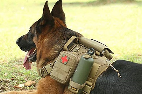 Top 5 des harnais tactiques pour chien militaire