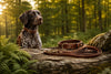 Colliers et laisses en cuir haut de gamme pour chien AKAH fabriqués en Allemagne