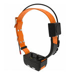 Collier GPS HoundX T35 pour chiens de chasse