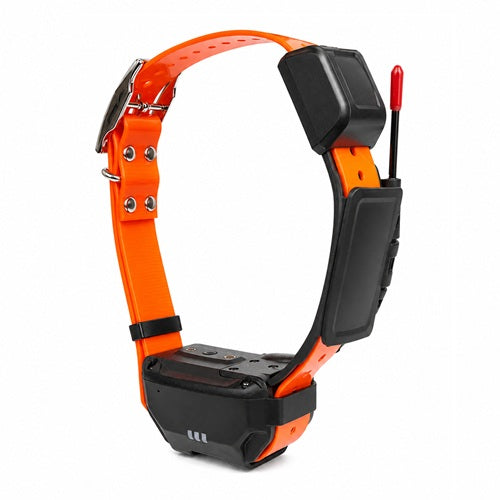 Collier de repérage GPS 4G pour chien de chasse TRACKSOON T12