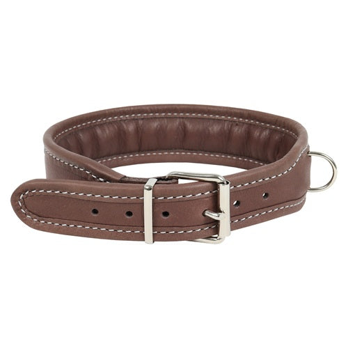 Collier en cuir haut de gamme pour chien AKAH Softgreen rembourré extra-large