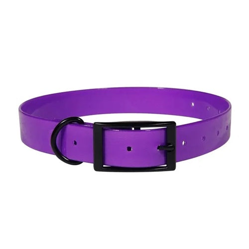 Collier pour chien de chasse en TPU - violet