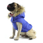 Veste réchauffante pour chiens de taille petite à moyenne à poches avec scratch et capuche amovible couleur bleu