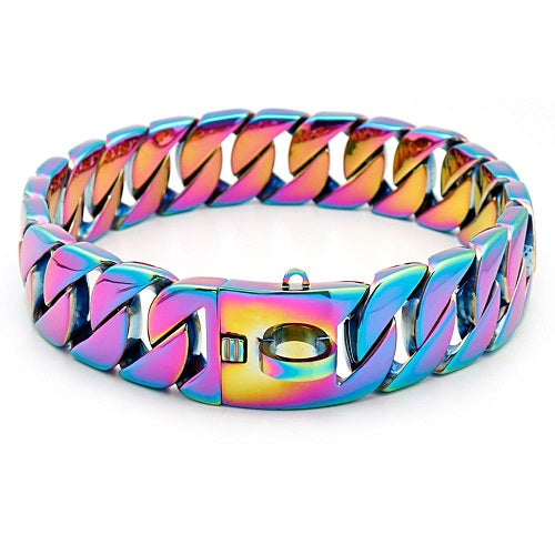 collier pour chien en métal multicolore